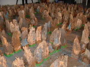 Termite City